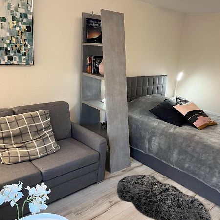 Alice Apartment Wackernheim Ingelheim am Rhein Esterno foto