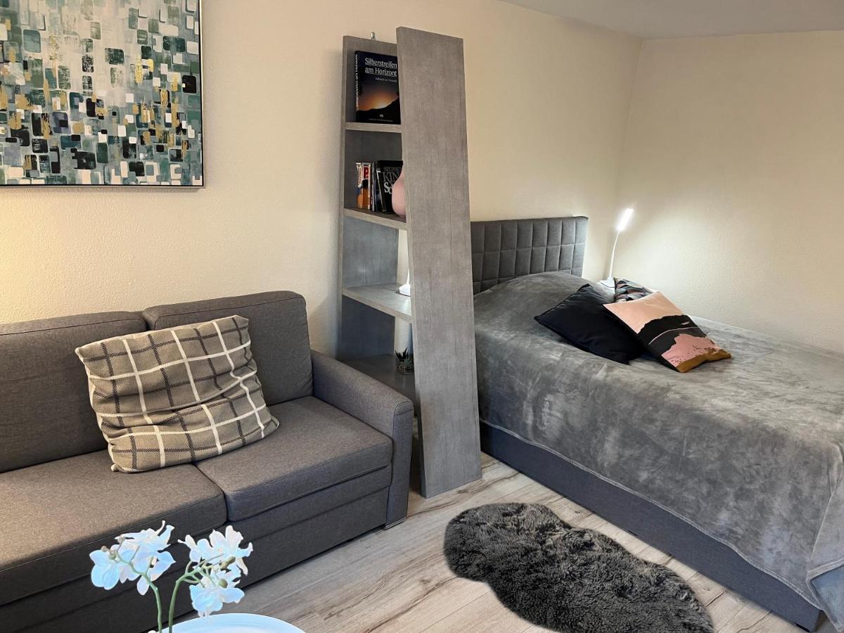 Alice Apartment Wackernheim Ingelheim am Rhein Esterno foto