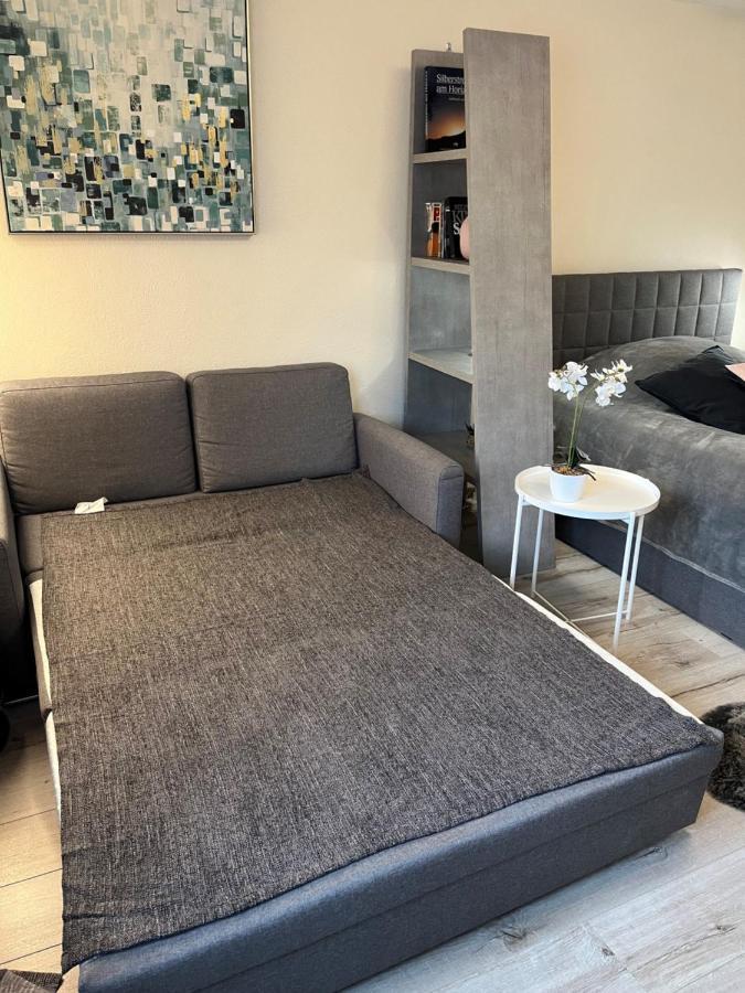 Alice Apartment Wackernheim Ingelheim am Rhein Esterno foto